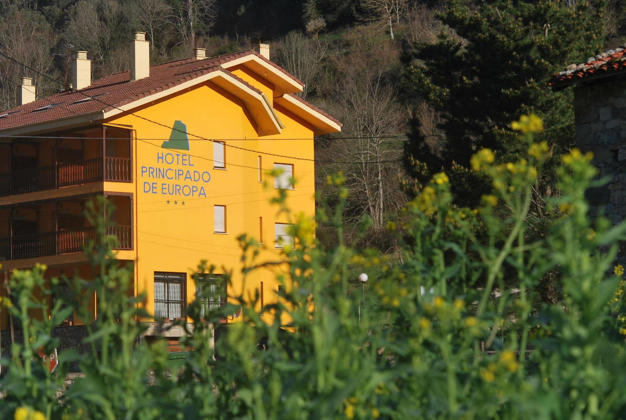 Hotel Principado De Europa Arenas De Cabrales Zewnętrze zdjęcie